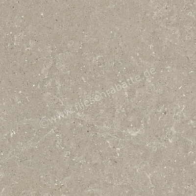  Del Conca Wild Greige 60x60 cm Bodenfliese / Wandfliese Matt Eben Naturale G9WD11R | 537042