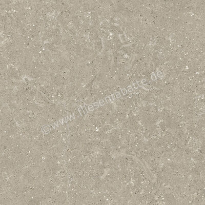  Del Conca Wild Greige 60x60 cm Bodenfliese / Wandfliese Matt Eben Naturale G9WD11R | 537048