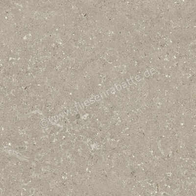  Del Conca Wild Greige 60x60 cm Bodenfliese / Wandfliese Matt Eben Naturale G9WD11R | 537051