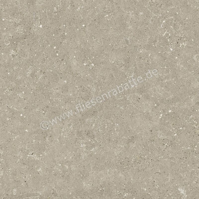  Del Conca Wild Greige 60x60 cm Bodenfliese / Wandfliese Matt Eben Naturale G9WD11R | 537054