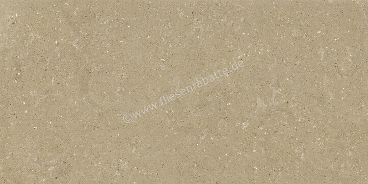  Del Conca Wild Beige 60x120 cm Bodenfliese / Wandfliese Matt Eben Naturale GCWD01R | 537057