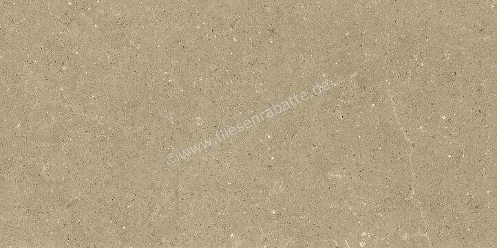  Del Conca Wild Beige 60x120 cm Bodenfliese / Wandfliese Matt Eben Naturale GCWD01R | 537060