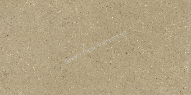  Del Conca Wild Beige 60x120 cm Bodenfliese / Wandfliese Matt Eben Naturale GCWD01R | 537063