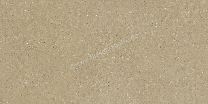  Del Conca Wild Beige 60x120 cm Bodenfliese / Wandfliese Matt Eben Naturale GCWD01R | 537069
