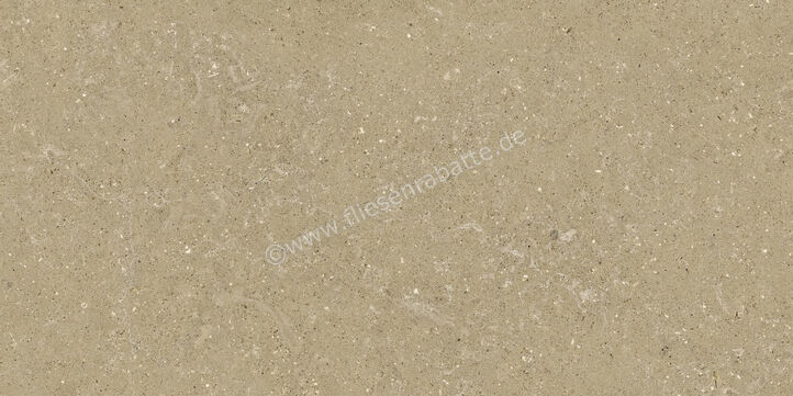  Del Conca Wild Beige 60x120 cm Bodenfliese / Wandfliese Matt Eben Naturale GCWD01R | 537075