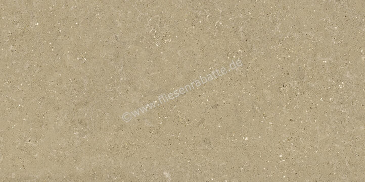  Del Conca Wild Beige 60x120 cm Bodenfliese / Wandfliese Matt Eben Naturale GCWD01R | 537078