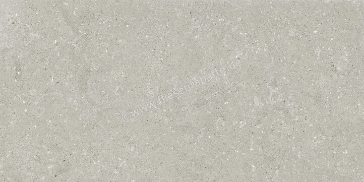  Del Conca Wild Grey 60x120 cm Bodenfliese / Wandfliese Matt Eben Naturale GCWD05R | 537081