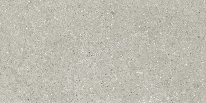  Del Conca Wild Grey 60x120 cm Bodenfliese / Wandfliese Matt Eben Naturale GCWD05R | 537084