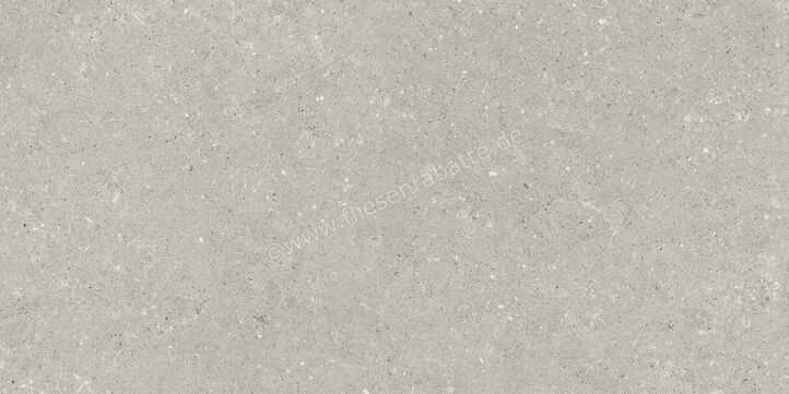  Del Conca Wild Grey 60x120 cm Bodenfliese / Wandfliese Matt Eben Naturale GCWD05R | 537087
