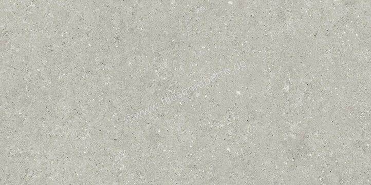  Del Conca Wild Grey 60x120 cm Bodenfliese / Wandfliese Matt Eben Naturale GCWD05R | 537090