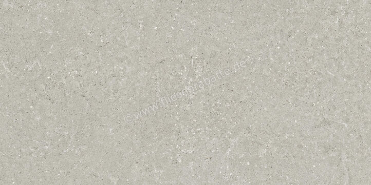  Del Conca Wild Grey 60x120 cm Bodenfliese / Wandfliese Matt Eben Naturale GCWD05R | 537093