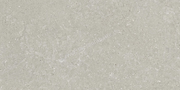  Del Conca Wild Grey 60x120 cm Bodenfliese / Wandfliese Matt Eben Naturale GCWD05R | 537096