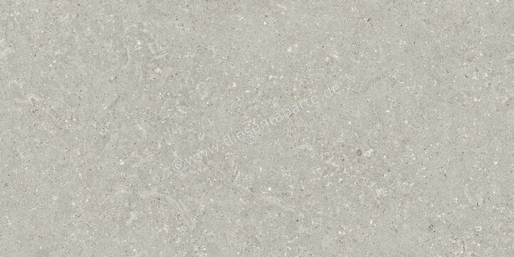  Del Conca Wild Grey 60x120 cm Bodenfliese / Wandfliese Matt Eben Naturale GCWD05R | 537099