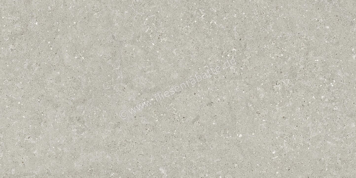  Del Conca Wild Grey 60x120 cm Bodenfliese / Wandfliese Matt Eben Naturale GCWD05R | 537102