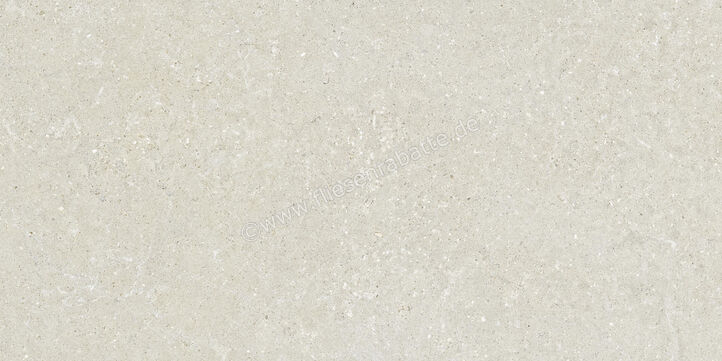  Del Conca Wild White 60x120 cm Bodenfliese / Wandfliese Matt Eben Naturale GCWD10R | 537117