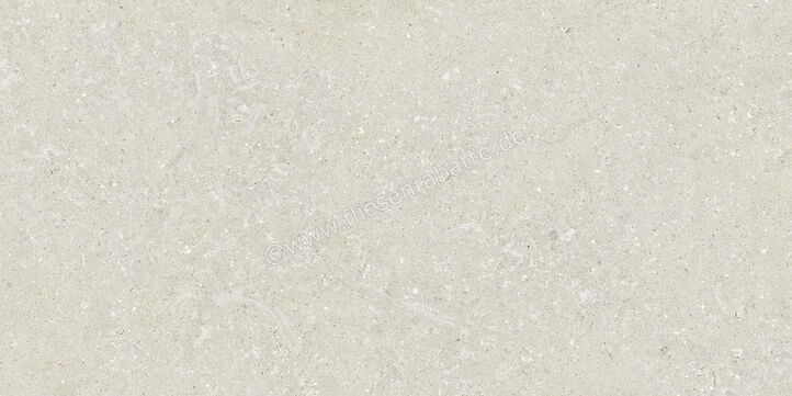  Del Conca Wild White 60x120 cm Bodenfliese / Wandfliese Matt Eben Naturale GCWD10R | 537123