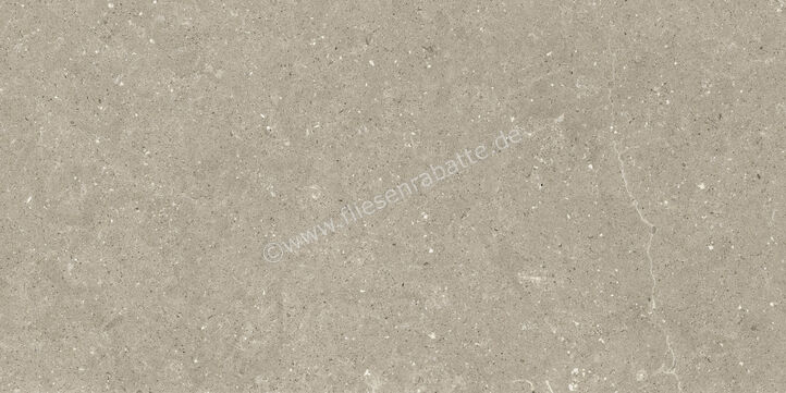  Del Conca Wild Greige 60x120 cm Bodenfliese / Wandfliese Matt Eben Naturale GCWD11R | 537132