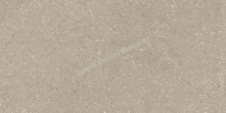  Del Conca Wild Greige 60x120 cm Bodenfliese / Wandfliese Matt Eben Naturale GCWD11R | 537135