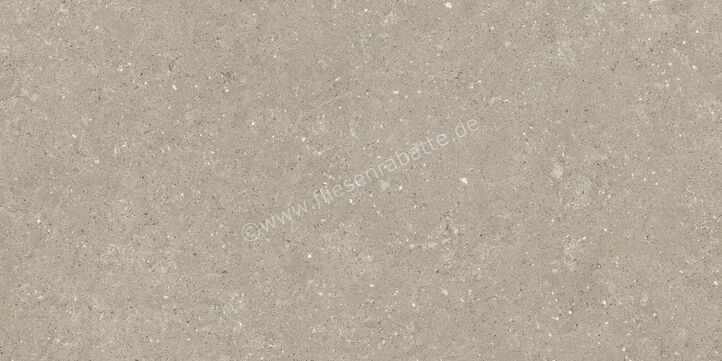  Del Conca Wild Greige 60x120 cm Bodenfliese / Wandfliese Matt Eben Naturale GCWD11R | 537138