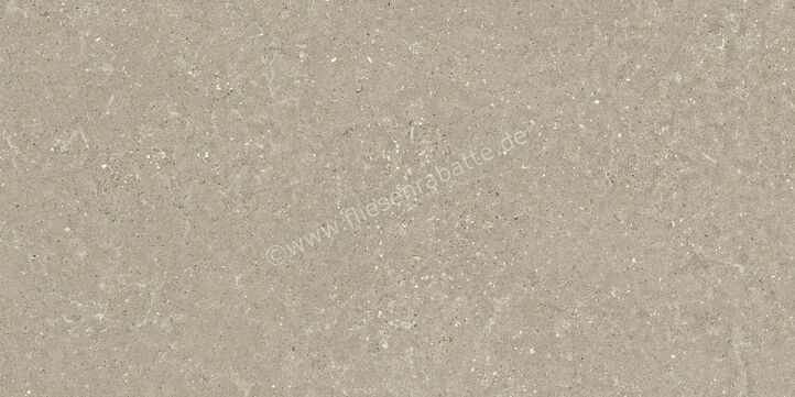  Del Conca Wild Greige 60x120 cm Bodenfliese / Wandfliese Matt Eben Naturale GCWD11R | 537141