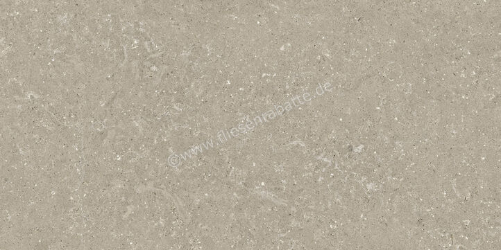  Del Conca Wild Greige 60x120 cm Bodenfliese / Wandfliese Matt Eben Naturale GCWD11R | 537147