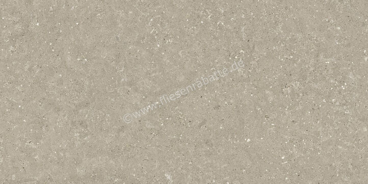  Del Conca Wild Greige 60x120 cm Bodenfliese / Wandfliese Matt Eben Naturale GCWD11R | 537150