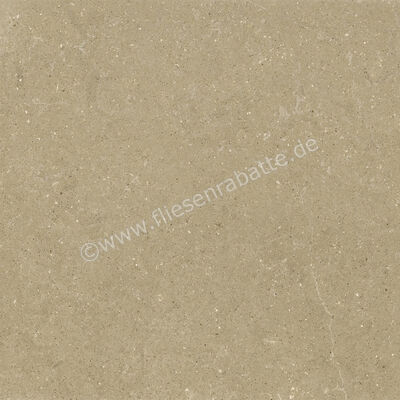  Del Conca Wild Beige 120x120 cm Bodenfliese / Wandfliese Matt Eben Naturale GRWD01R | 537153