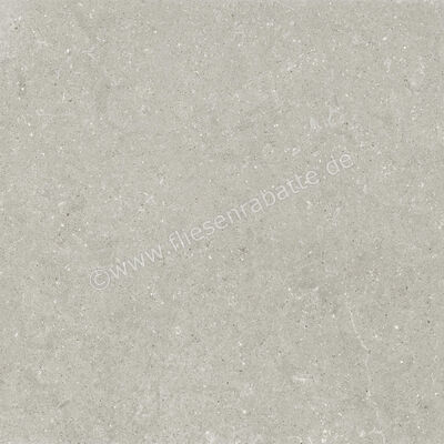  Del Conca Wild Grey 120x120 cm Bodenfliese / Wandfliese Matt Eben Naturale GRWD05R | 537168