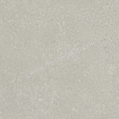  Del Conca Wild Grey 120x120 cm Bodenfliese / Wandfliese Matt Eben Naturale GRWD05R | 537174
