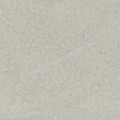  Del Conca Wild Grey 120x120 cm Bodenfliese / Wandfliese Matt Eben Naturale GRWD05R | 537177