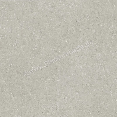  Del Conca Wild Grey 120x120 cm Bodenfliese / Wandfliese Matt Eben Naturale GRWD05R | 537180