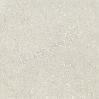  Del Conca Wild White 120x120 cm Bodenfliese / Wandfliese Matt Eben Naturale GRWD10R | 537183