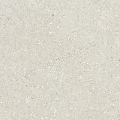  Del Conca Wild White 120x120 cm Bodenfliese / Wandfliese Matt Eben Naturale GRWD10R | 537198