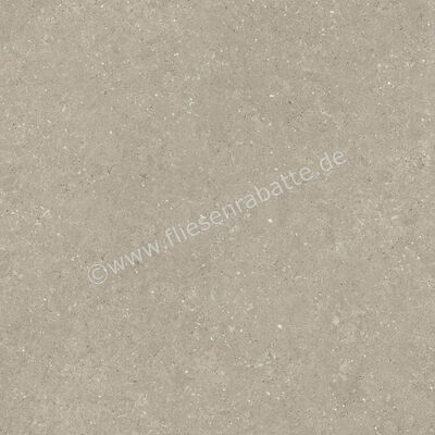  Del Conca Wild Greige 120x120 cm Bodenfliese / Wandfliese Matt Eben Naturale GRWD11R | 537204