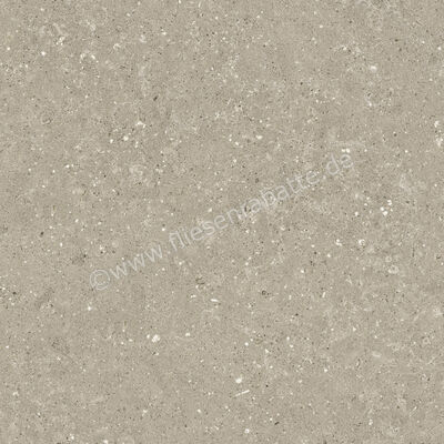  Del Conca Wild Greige 120x120 cm Bodenfliese / Wandfliese Matt Eben Naturale GRWD11R | 537216