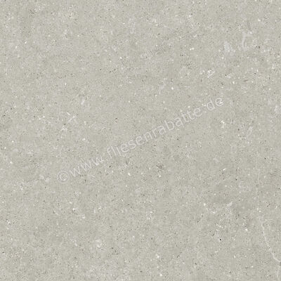  Del Conca Wild Grey 80x80 cm Bodenfliese / Wandfliese Matt Eben Naturale GTWD05R | 537234