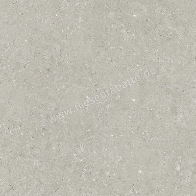  Del Conca Wild Grey 80x80 cm Bodenfliese / Wandfliese Matt Eben Naturale GTWD05R | 537237