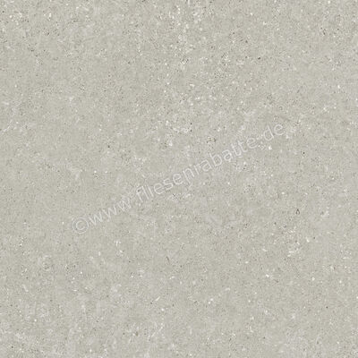 Del Conca Wild Grey 80x80 cm Bodenfliese / Wandfliese Matt Eben Naturale GTWD05R | 537240