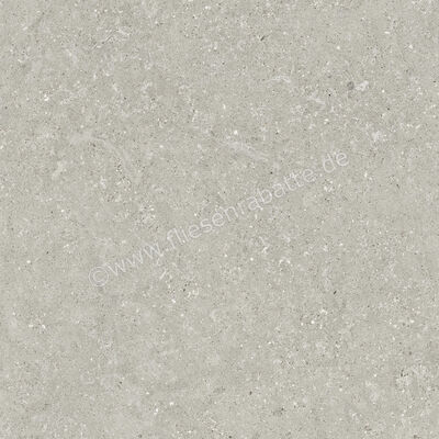  Del Conca Wild Grey 80x80 cm Bodenfliese / Wandfliese Matt Eben Naturale GTWD05R | 537243