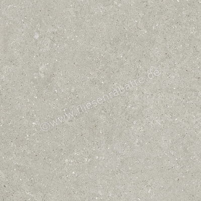  Del Conca Wild Grey 80x80 cm Bodenfliese / Wandfliese Matt Eben Naturale GTWD05R | 537246