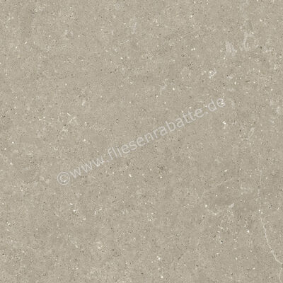  Del Conca Wild Greige 80x80 cm Bodenfliese / Wandfliese Matt Eben Naturale GTWD11R | 537264