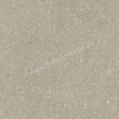  Del Conca Wild Greige 80x80 cm Bodenfliese / Wandfliese Matt Eben Naturale GTWD11R | 537267