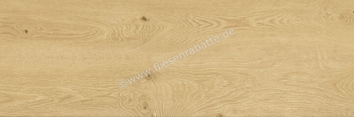  Del Conca Nabi2 Honey 40x120x2 cm Terrassenplatte Matt Eben Naturale SDNB07R | 538293