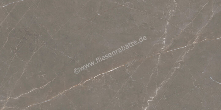  La Fabbrica Ava Bronze Amani Bronze Amani 60x120 cm Bodenfliese / Wandfliese Glänzend Eben Lappato 135070 | 541501
