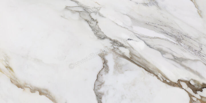  La Fabbrica Ava Macchia Antica Macchia Antica 60x120 cm Bodenfliese / Wandfliese Glänzend Eben Lappato 163103 | 541570