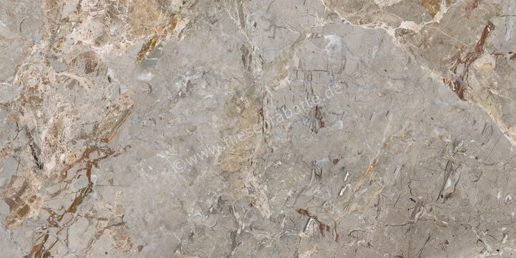  La Fabbrica Ava Breccia Argentum Breccia Argentum 60x120 cm Bodenfliese / Wandfliese Glänzend Eben Lappato 163101 | 542944