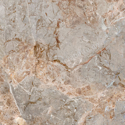  La Fabbrica Ava Breccia Argentum Breccia Argentum 120x120 cm Bodenfliese / Wandfliese Glänzend Eben Lappato 163021 | 542953