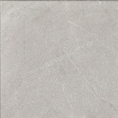  La Fabbrica Ava Dolomiti Cenere 60x60 cm Bodenfliese / Wandfliese Matt Eben Naturale 086053 | 548611