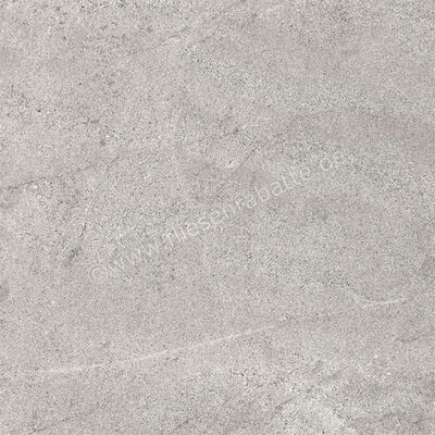  La Fabbrica Ava Dolomiti Cenere 60x60 cm Bodenfliese / Wandfliese Matt Eben Naturale 086053 | 548614