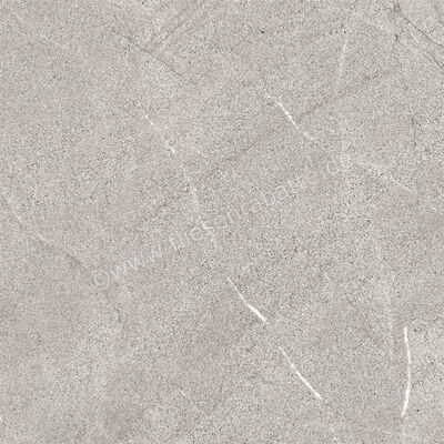  La Fabbrica Ava Dolomiti Cenere 60x60 cm Bodenfliese / Wandfliese Matt Eben Naturale 086053 | 548617